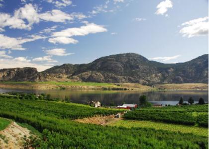 Ciliegia Villa Osoyoos Exterior photo